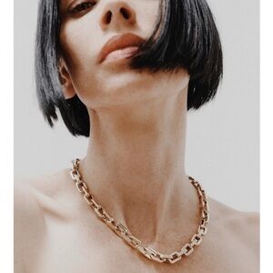 NWT Eddie Borgo Supra Link Gold Necklace